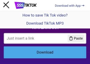 Website sssTikTok