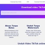 SssTik.io Downloader Video TikTok Tanpa Watermark
